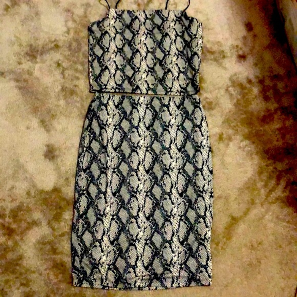 🔥NWOT🔥 Popular 21 Skirt and Top Set on Color: Snakeskin